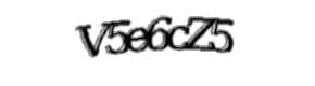 Security check image, please type the characters shown