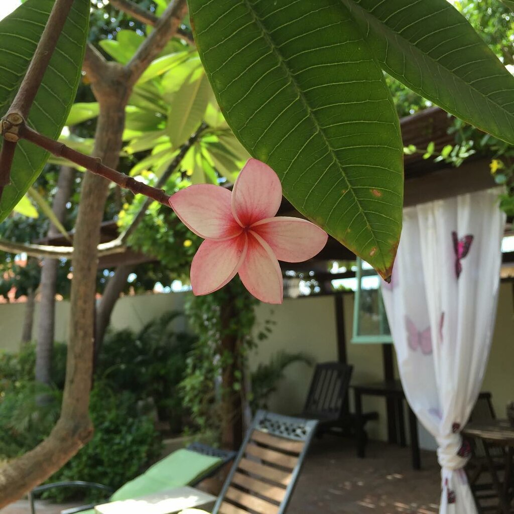 Wonders Hotel Aruba Boetiekhotel in Oranjestad voor Volwassenen