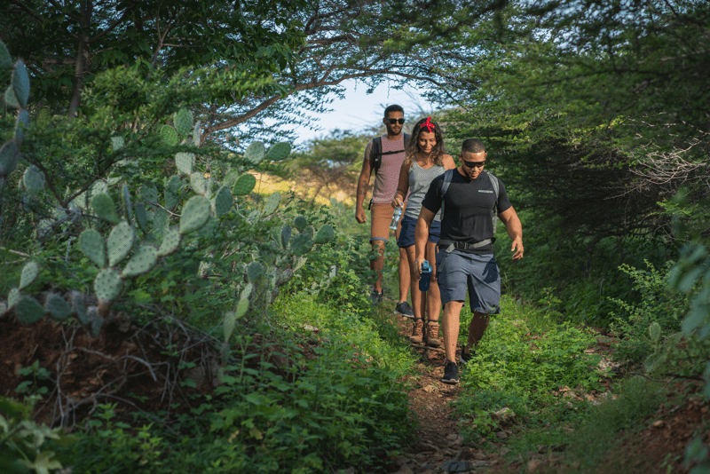 Turismo ecológico en Aruba descubre la naturaleza del Caribe