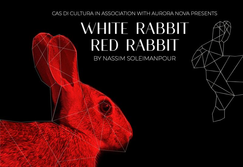 "White Rabbit Red Rabbit" Aruba