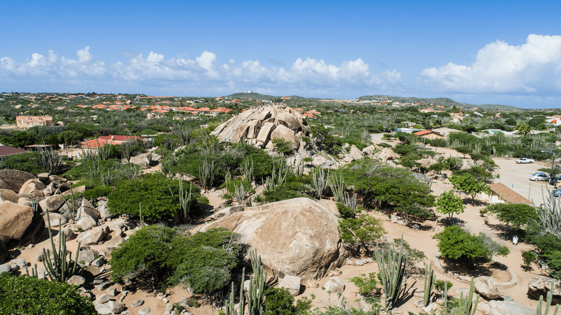 Snap Up Picture Perfect Aruba