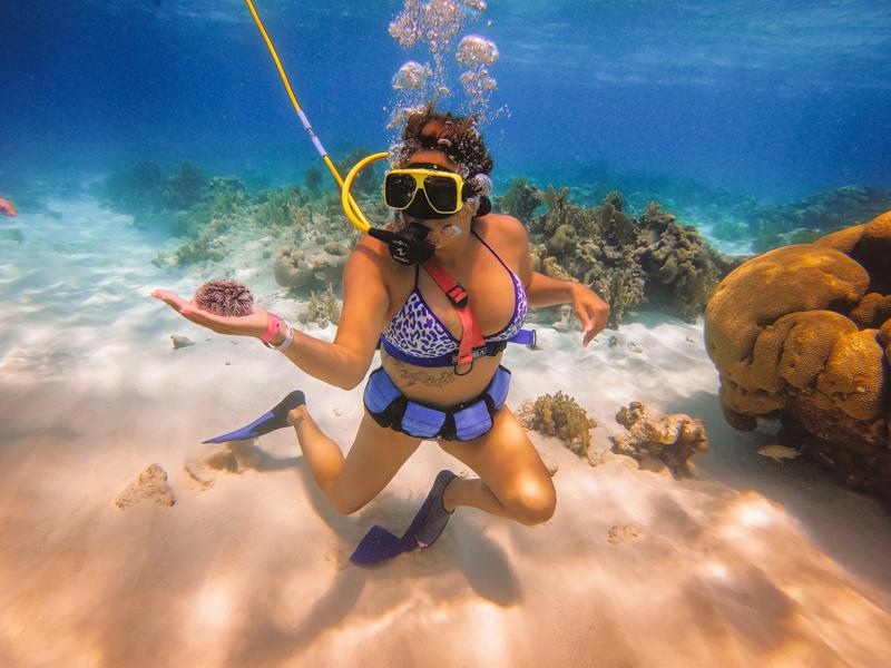 Aruba SNUBA Diving Best SNUBA Diving in the Caribbean