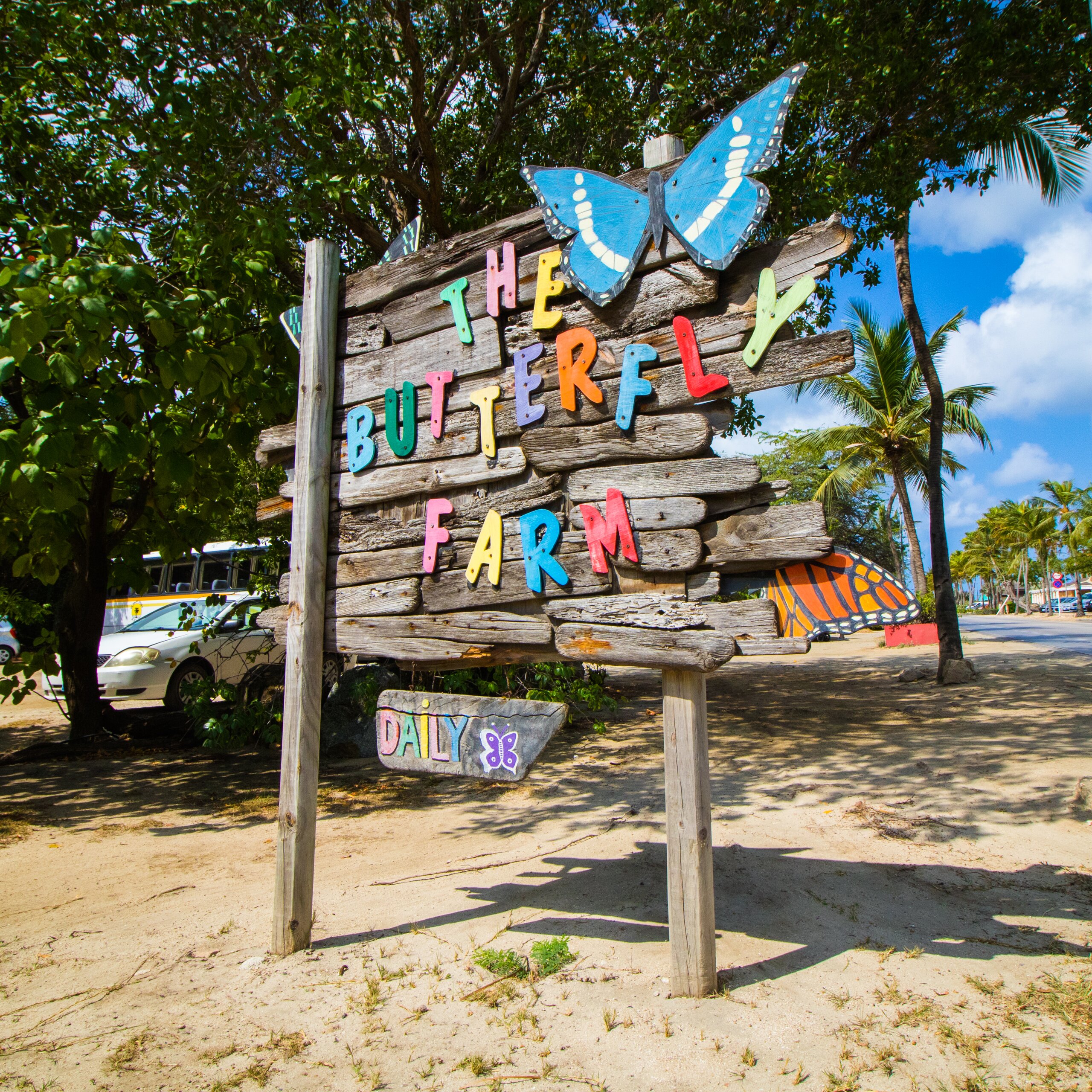 butterfly farm aruba tours