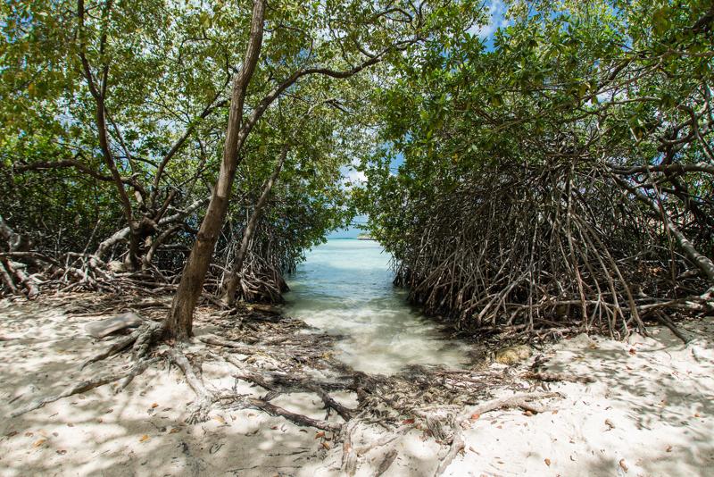 Aruba Things to Do, Hotels & Restaurants