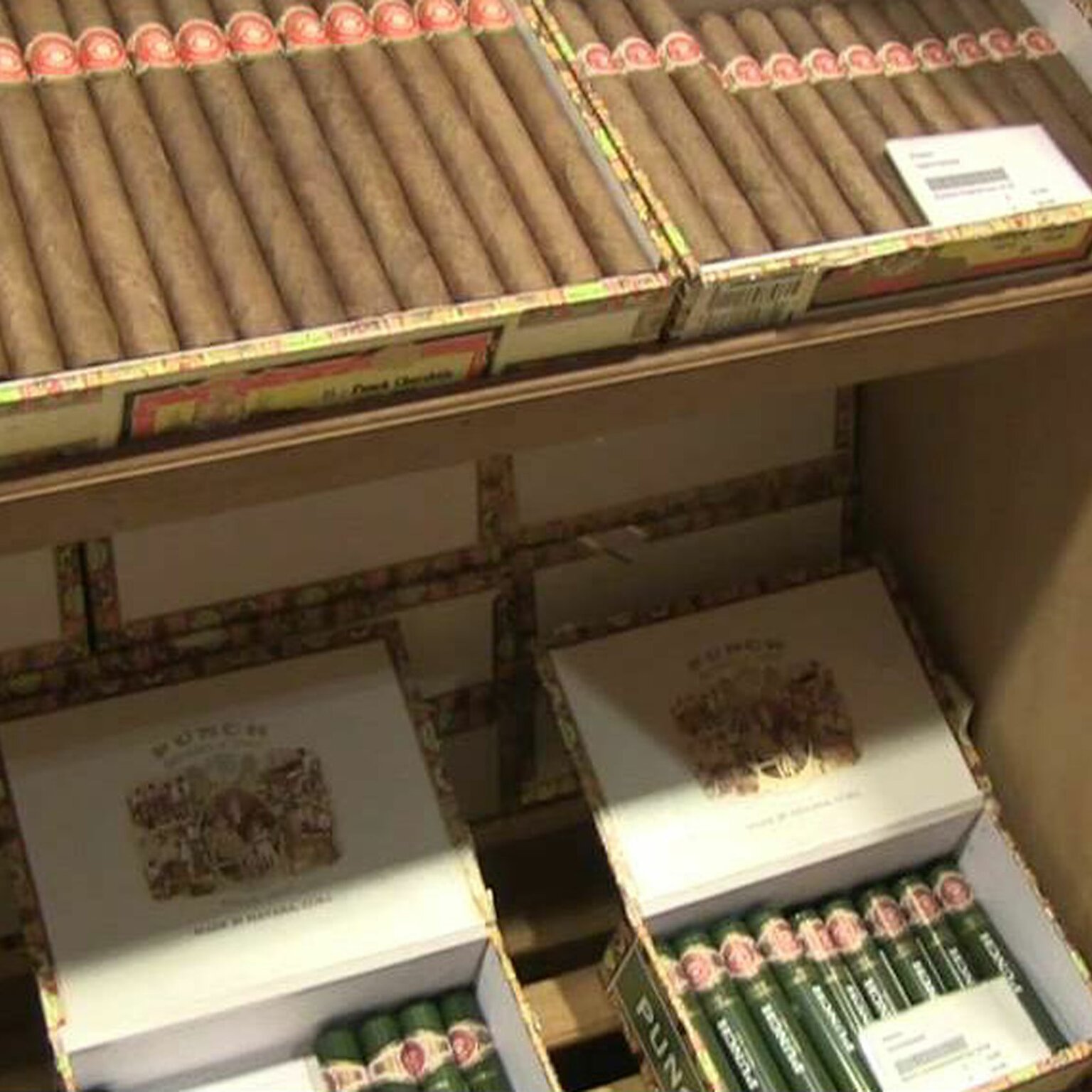 Authentic Cuban Cigars in Oranjestad, Aruba Cigar Emporium