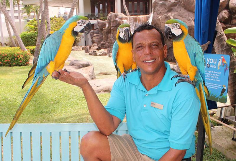 Hilton Aruba Bird Keeper