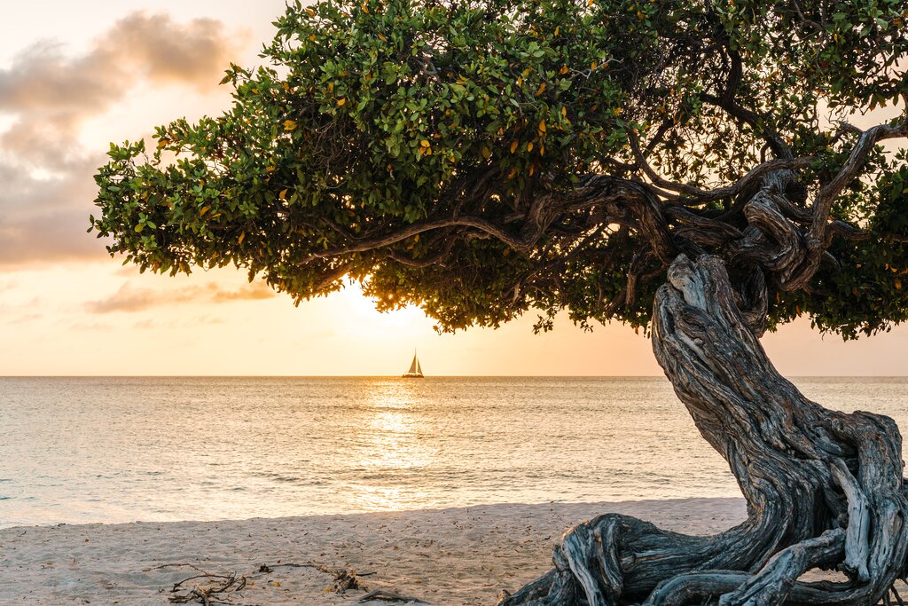 This image of Eagle Beach is from: aruba.com