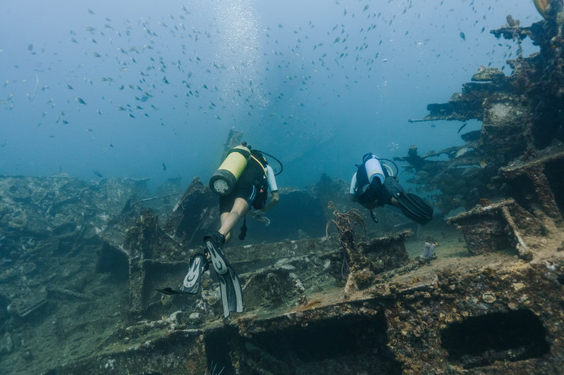 Descubra As Maravilhas Subaquáticas De Aruba | Aruba.com