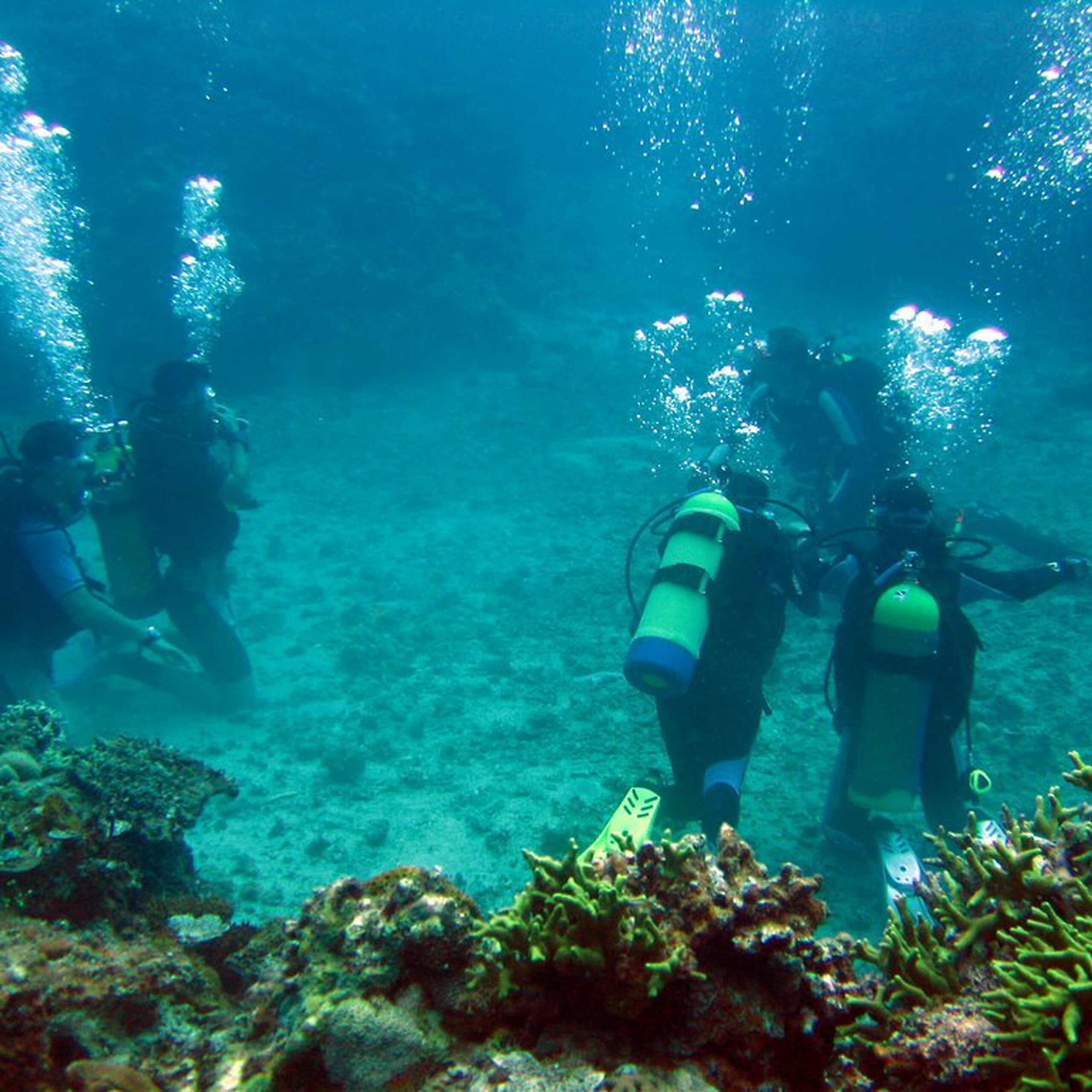 scuba diving tours aruba