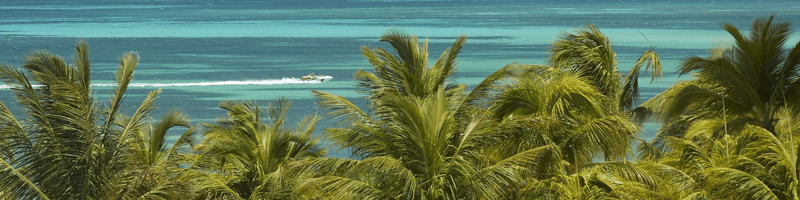 CULTURE IN ARUBA AUTHENTIC CULTURAL EXPERIENCES intelligence overview